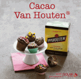 Cacao Van Houten