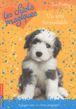 Les chiots magiques Tome 8
Un ami formidable