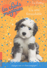 Les chiots magiques Tome 8
Un ami formidable