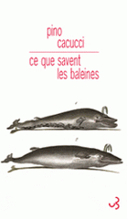 Ce que savent les baleines