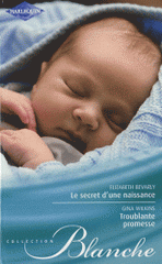 Le secret d'une naissance ; Troublante promesse