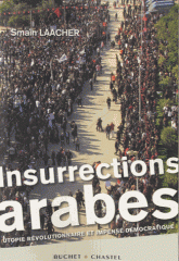 Insurrections arabes. Utopie révolutionnaire et impensé démocratique