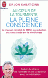 Au coeur de la tourmente, la pleine conscience. MBSR, la réduction du stress basée sur le mindfulness : programme complet en 8 semaines