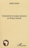 Comprendre les enjeux bancaires en Afrique Centrale