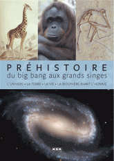 Préhistoire. Du Big bang aux grands singes