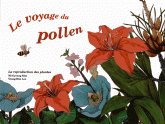 Le voyage du pollen. La reproduction des plantes