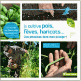 Je cultive pois, fèves, haricots.... Des protéines dans mon potager !