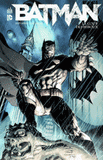Batman Tome 1
La cour des hiboux