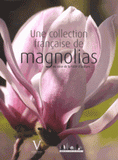 Une collection française de magnolias. Arboretum des Grandes Bruyères, au coeur de la forêt d'Orléans...