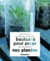 Maîtriser l'art des boutures pour créer et multiplier ses plantes