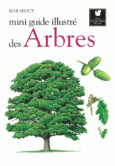 Arbres