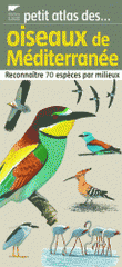 Oiseaux de méditerranée