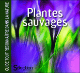 Plantes sauvages. Guide tout reconnaitre dans la nature