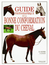 Guide photographique de la bonne conformation du cheval