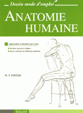 Anatomie humaine. Apprendre à dessiner pas à pas