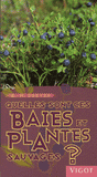 Quelles sont ces baies et plantes sauvages ?