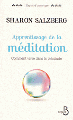 Apprentissage de la méditation. Comment vivre dans la plénitude