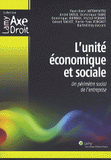 L'unité économique et sociale. Un périmètre social de l'entreprise