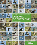 Oiseaux de Bretagne. Un guide + un carnet de terrain