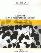 Electricité : faut-il désespérer du marché ?