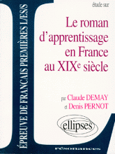 Étude sur le roman d'apprentissage en France au XIXe siècle