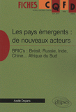 Les pays émergents : les nouveaux acteurs. BRIC's : Brésil, Russie, Inde, Chine... Afrique du Sud