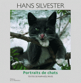 Portraits de chats