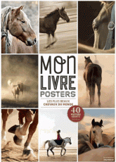 Les plus beaux chevaux du monde