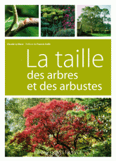 La taille des arbres et des arbustes