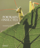 Portraits d'insectes