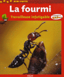 La fourmi. Travailleuse infatigable