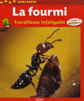 La fourmi. Travailleuse infatigable