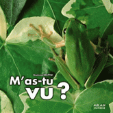 M'as-tu vu ?