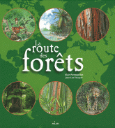 La route des forêts