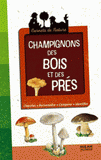 Champignons des bois et des prés