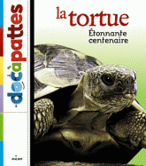 La tortue