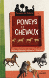 Poneys et chevaux