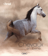 Chevaux en liberté