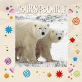 L'ours polaire