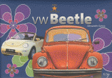 Coccinelle Beetle