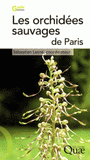 Les orchidées sauvages de Paris