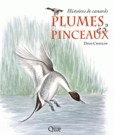 Plumes & pinceaux. Histoires de canards