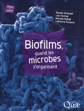 Biofilms, quand les microbes s'organisent