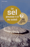 Le sel pousse-t-il au soleil ?. 120 clés pour comprendre le sel