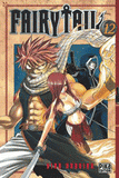 Fairy Tail Tome 12