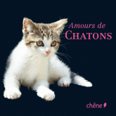 Amours de châtons