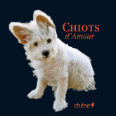 Chiots d'Amour