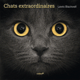 Chats extraordinaires