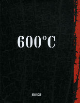 600°C