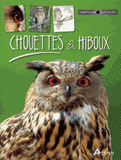 Chouettes et hiboux